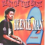 The Best of Beenie Man Vol 2